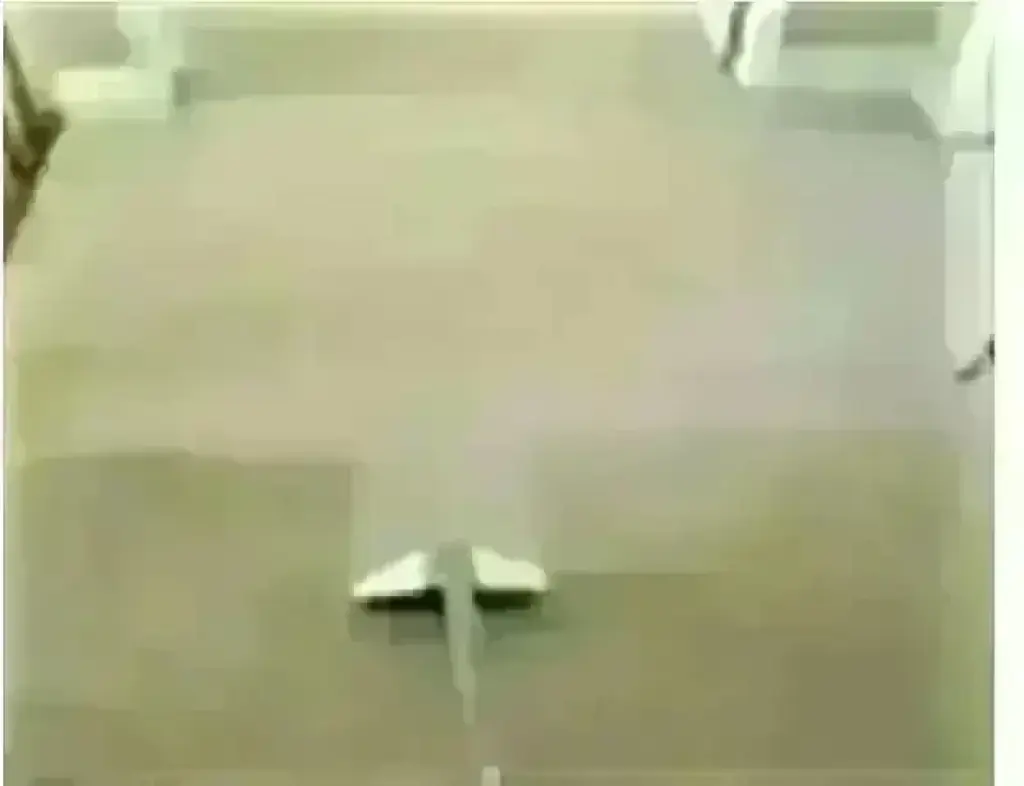 CARPET CLEANING
