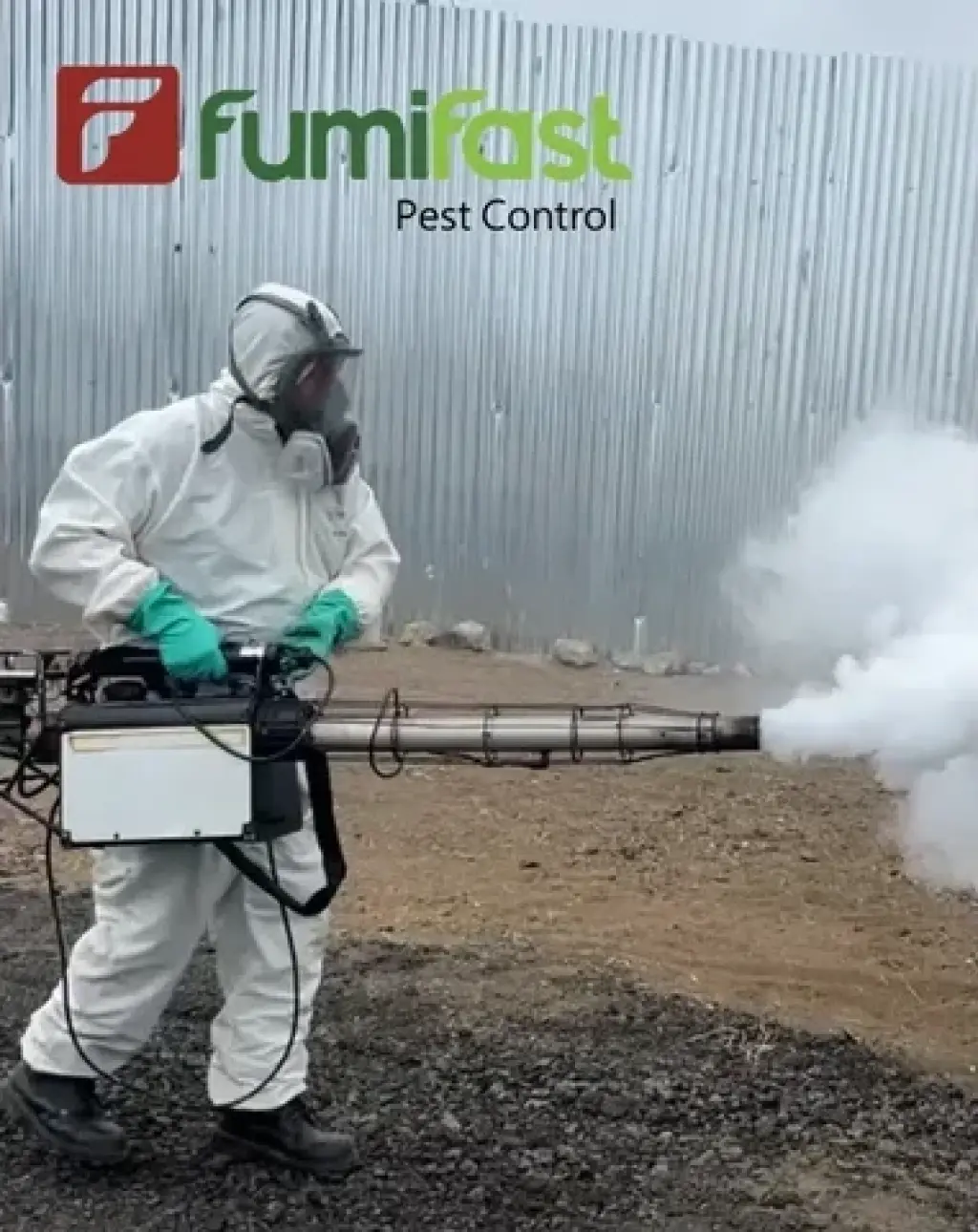 20 años vs.Termitas FUMIFAST