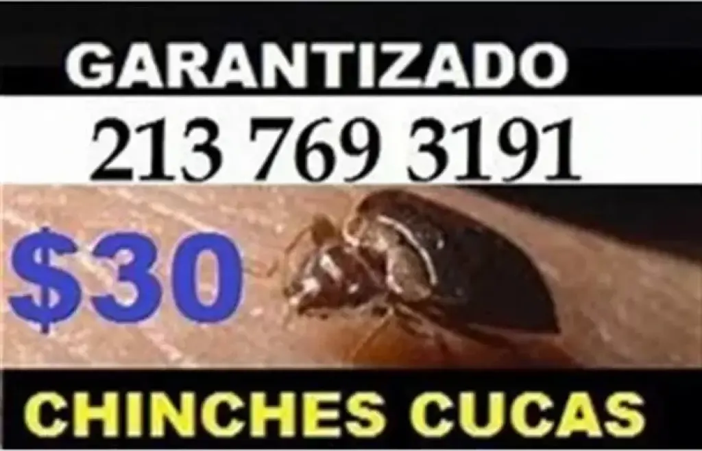 FUMIGACION 100% GARANTIZADA