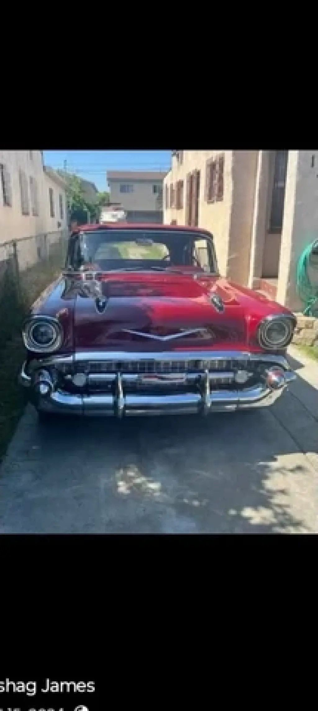 Pintado automotris