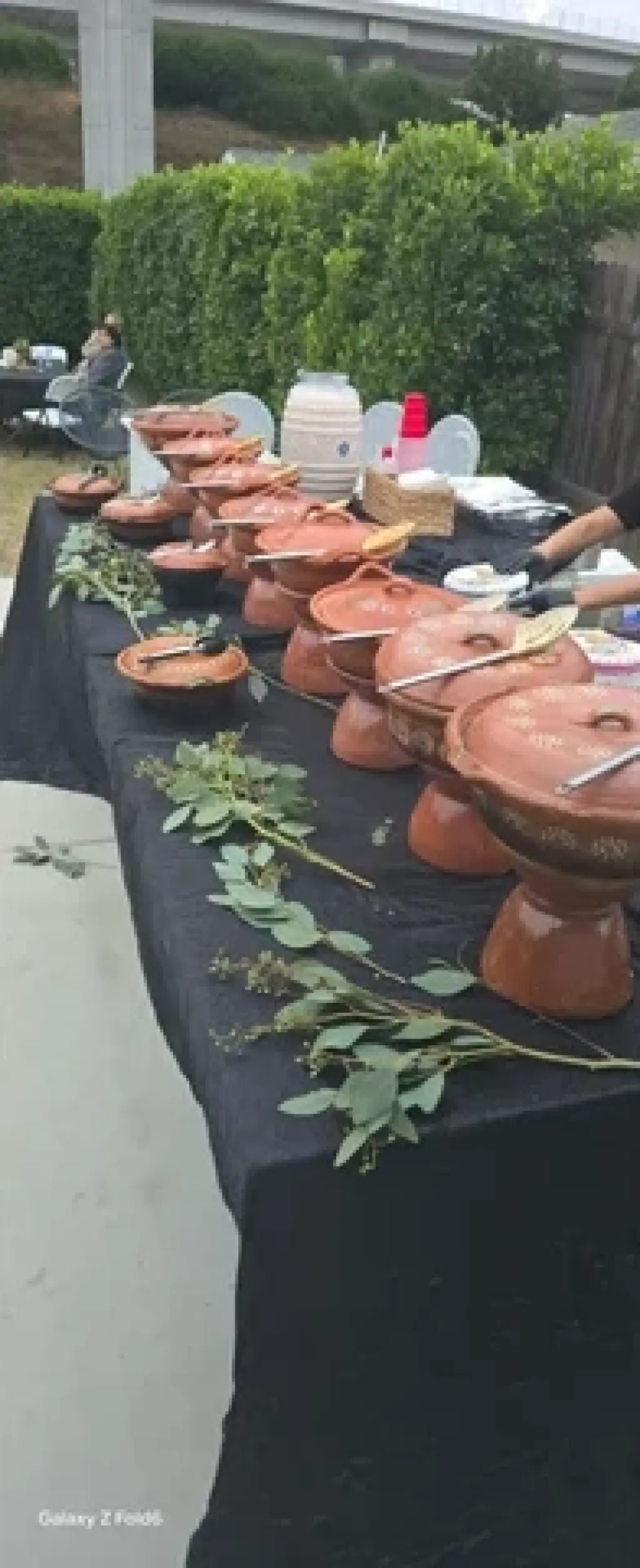 Tacos de guisados con tortilla