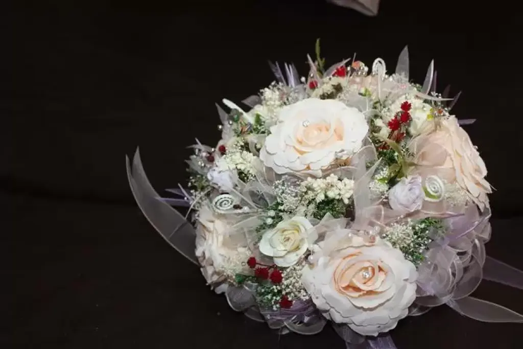 FOTO Y VIDEO BODAS XV AÑOS SAN