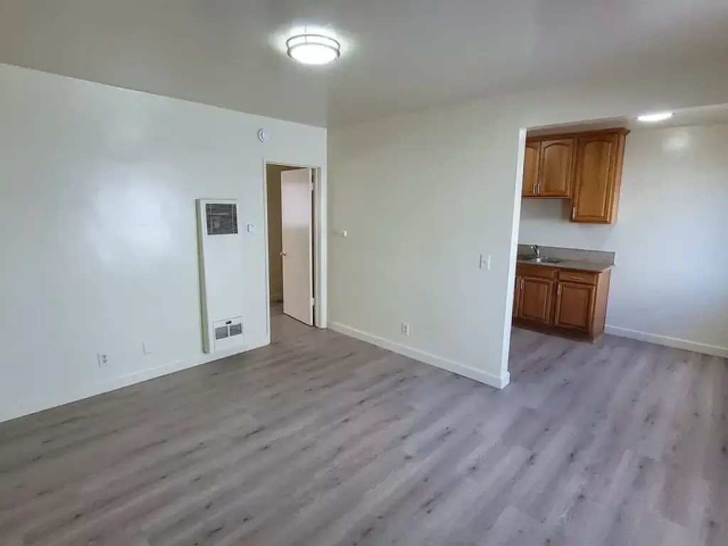 1 bd apartment
