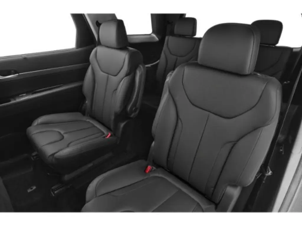 Hyundai PALISADE 2022 Calligraphy 4dr SUV
