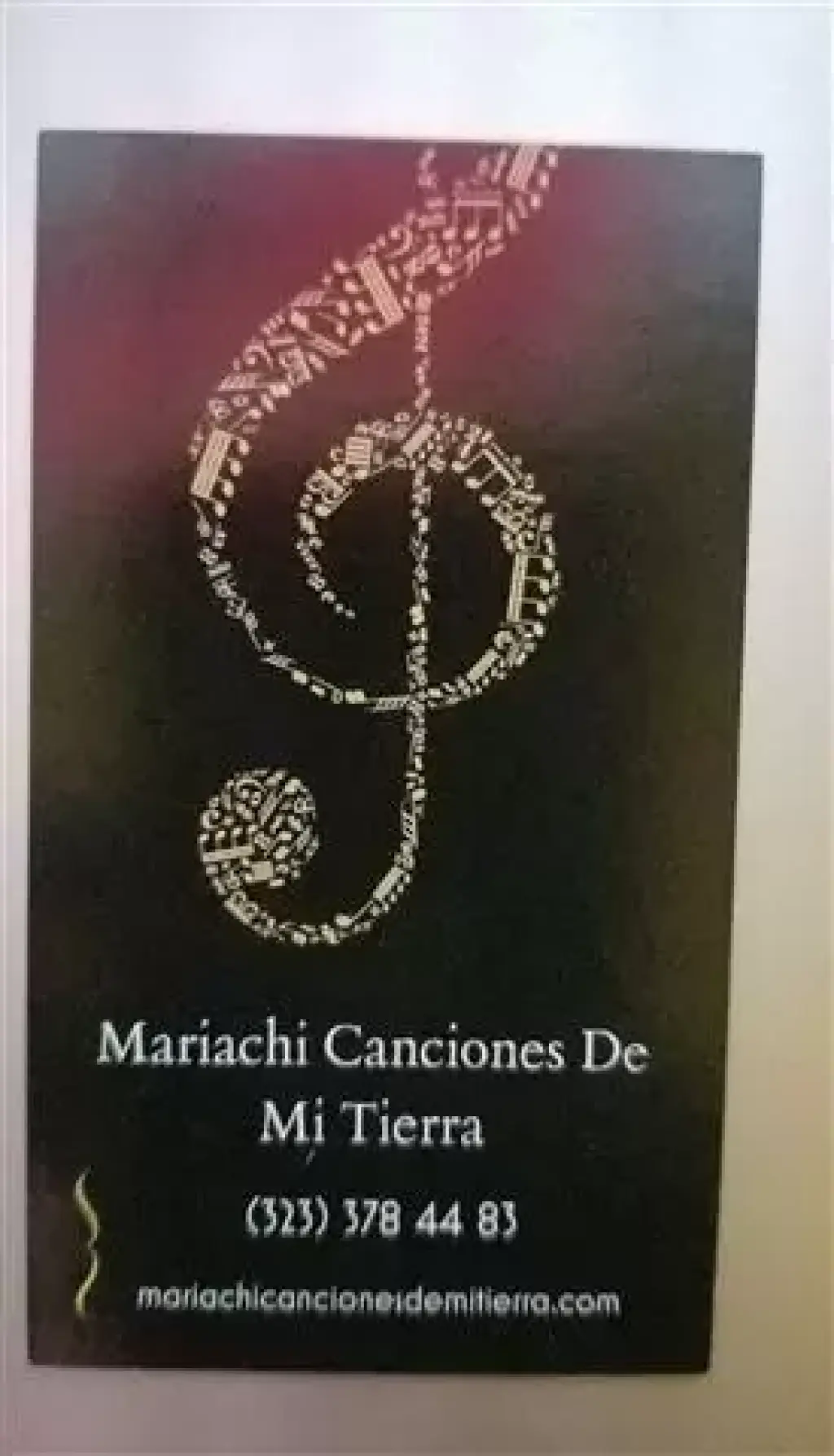Ranchero Mariachi $240