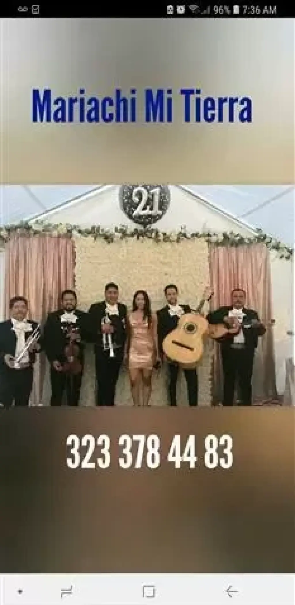 Alegria Mariachi Desde $240