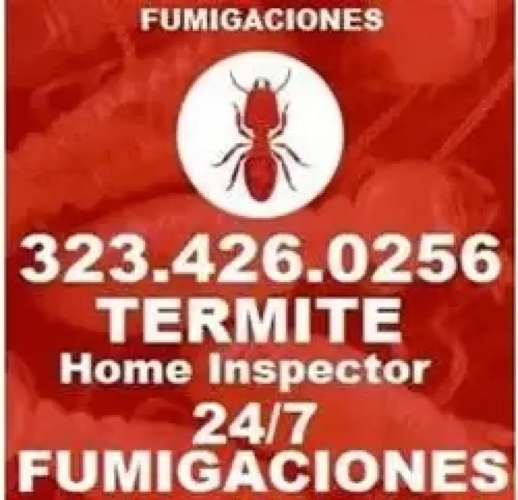 TERMITE & PEST CONTROL