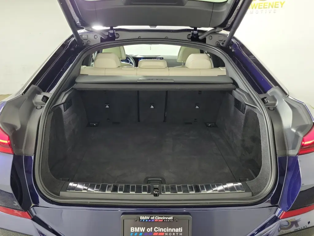 2025 BMW X6
