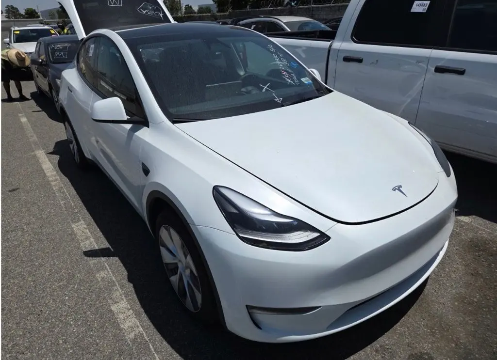 2024 Tesla Model Y