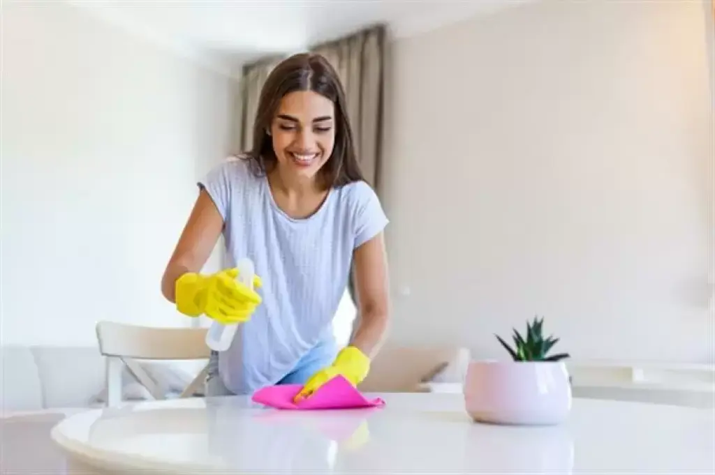Bacante Para Limpieza De Casas
