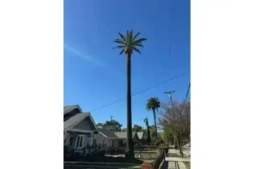 SERVICIO COMPLETO DE ÁRBOLES