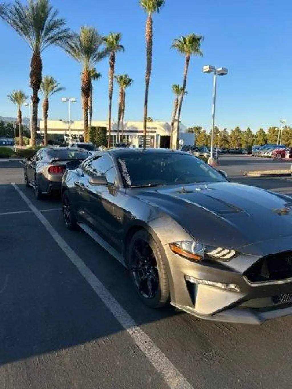 Ford Mustang 2018 GT 2dr Fastback