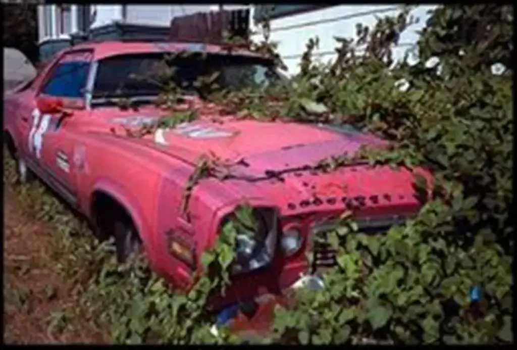 COMPRAMOS CARROS PARA JUNK ☆$$