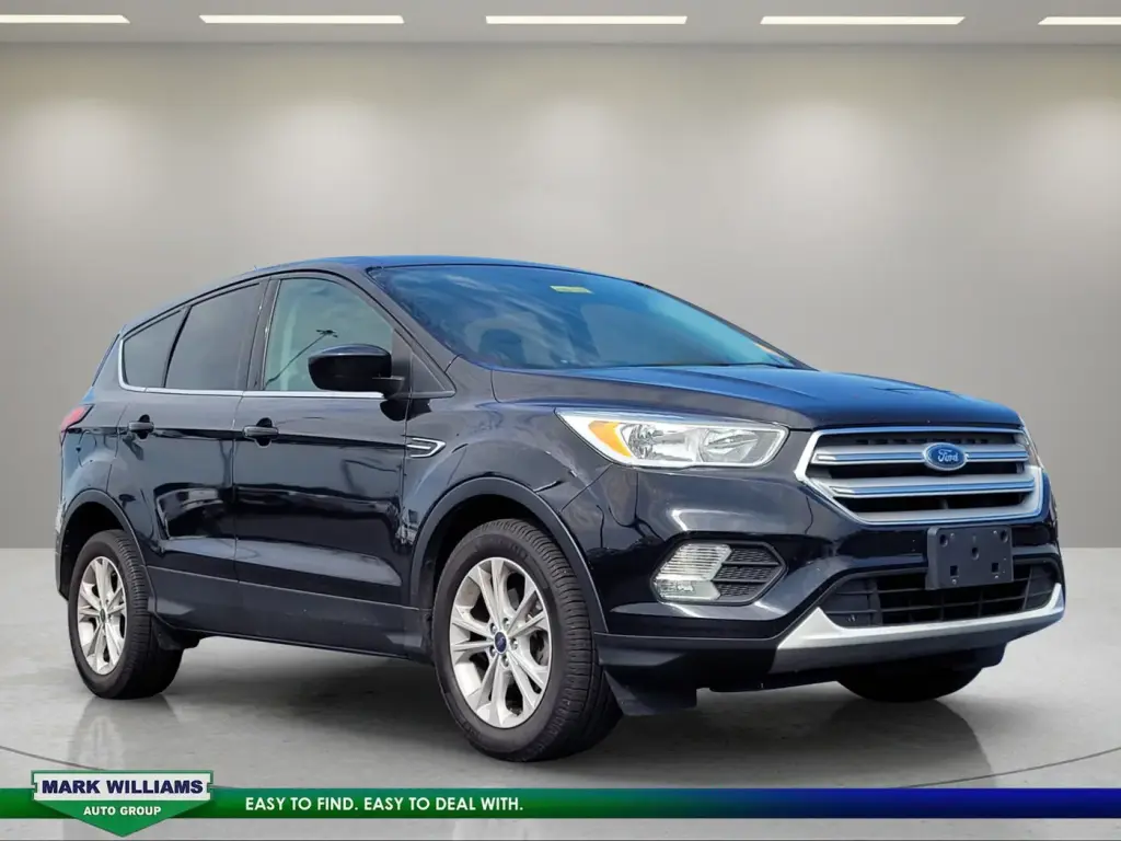 Ford Escape 2019 SE 4dr SUV
