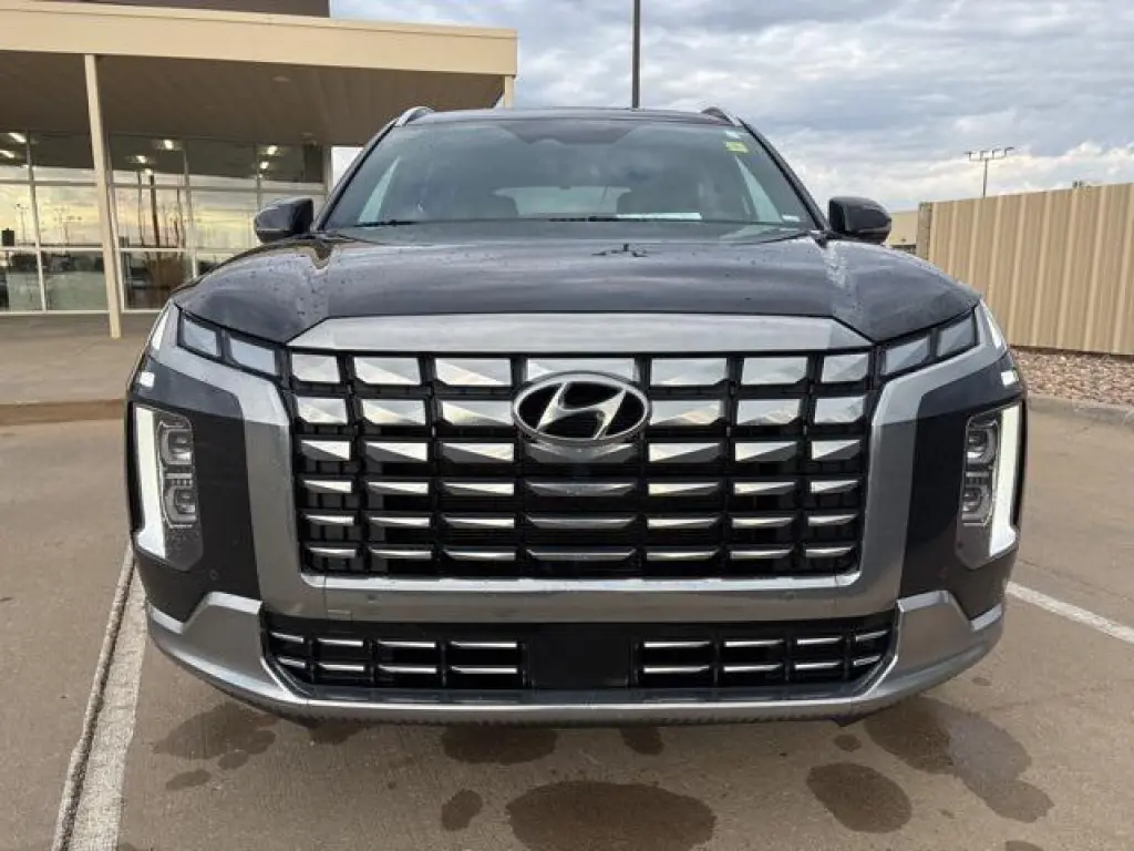 Hyundai PALISADE 2024 Calligraphy 4dr SUV