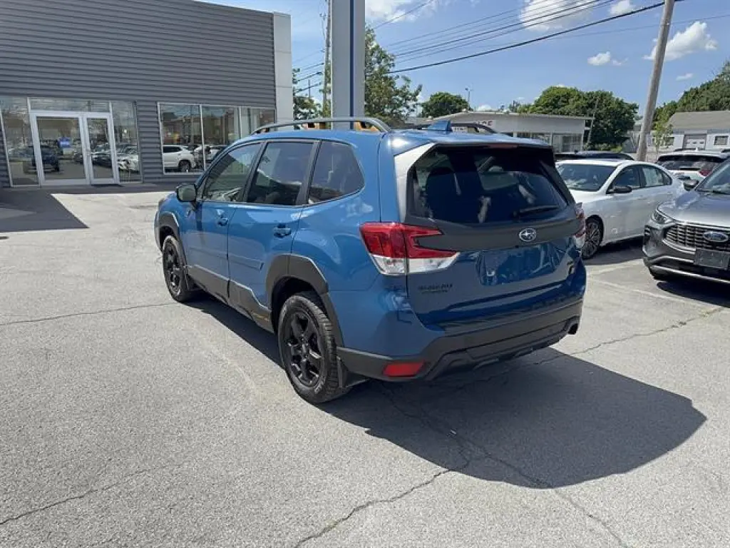Subaru Forester 2022 AWD Wilderness 4dr Crossover
