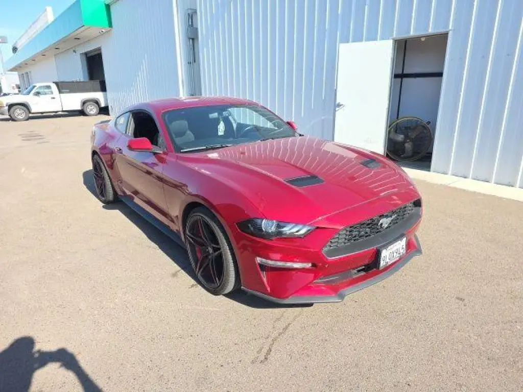 Ford Mustang 2019 EcoBoost 2dr Fastback