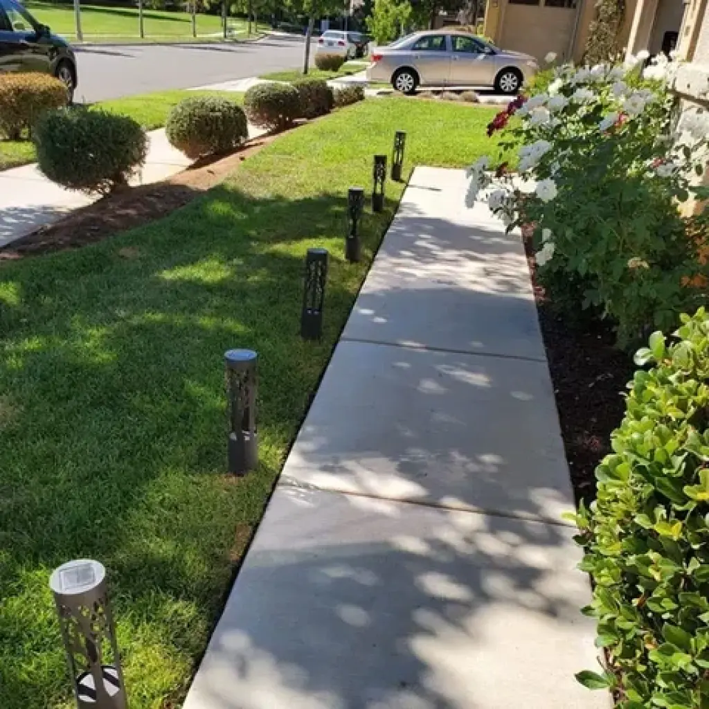 🌿 Landscaping 24/7 Hoy!