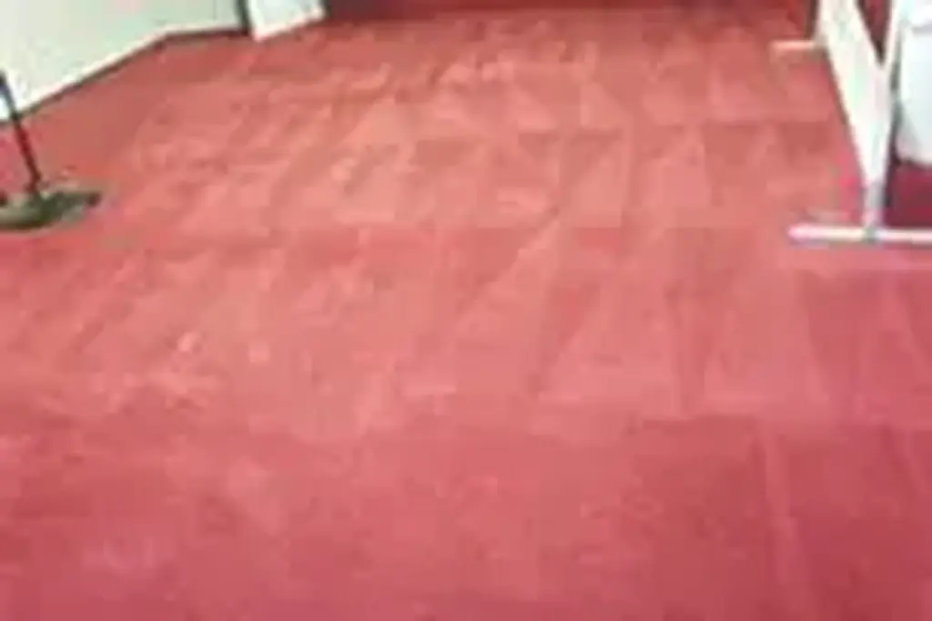 Limpieza De Alfombras.
