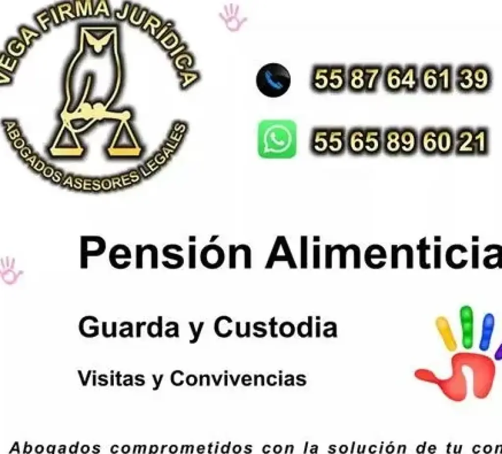 Pensión Alimenticia 5587646139