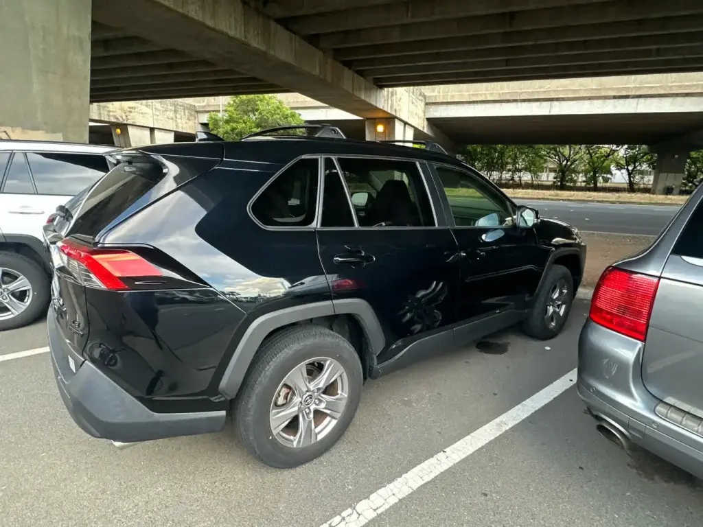Toyota RAV4 Hybrid 2024 AWD LE 4dr SUV