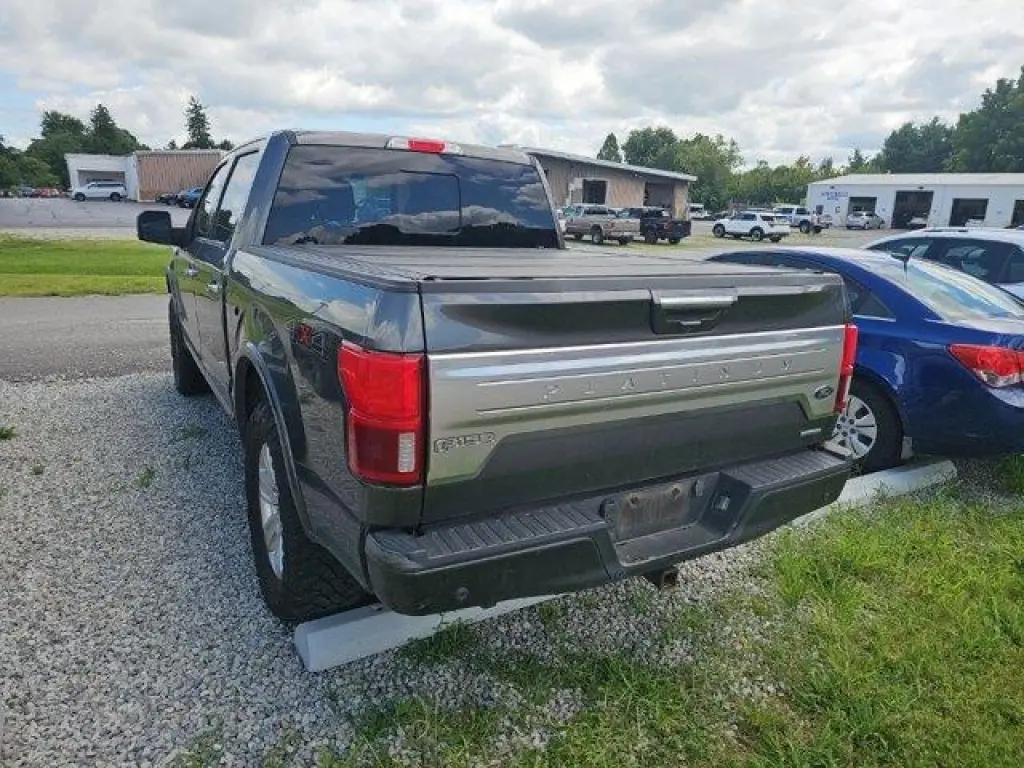 Ford F-150 2019 4x4 Platinum 4dr SuperCrew 5.5 ft. SB