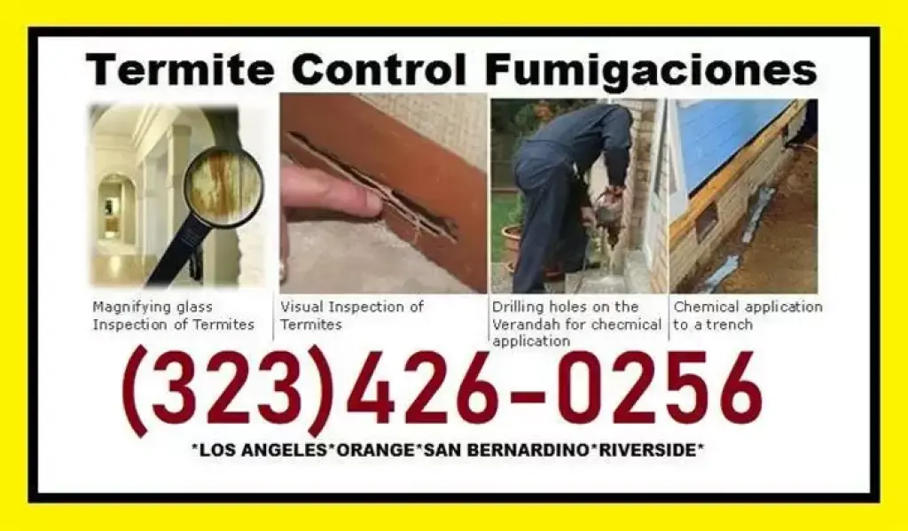 PROTEGE SU CASA DE LAS TERMITA