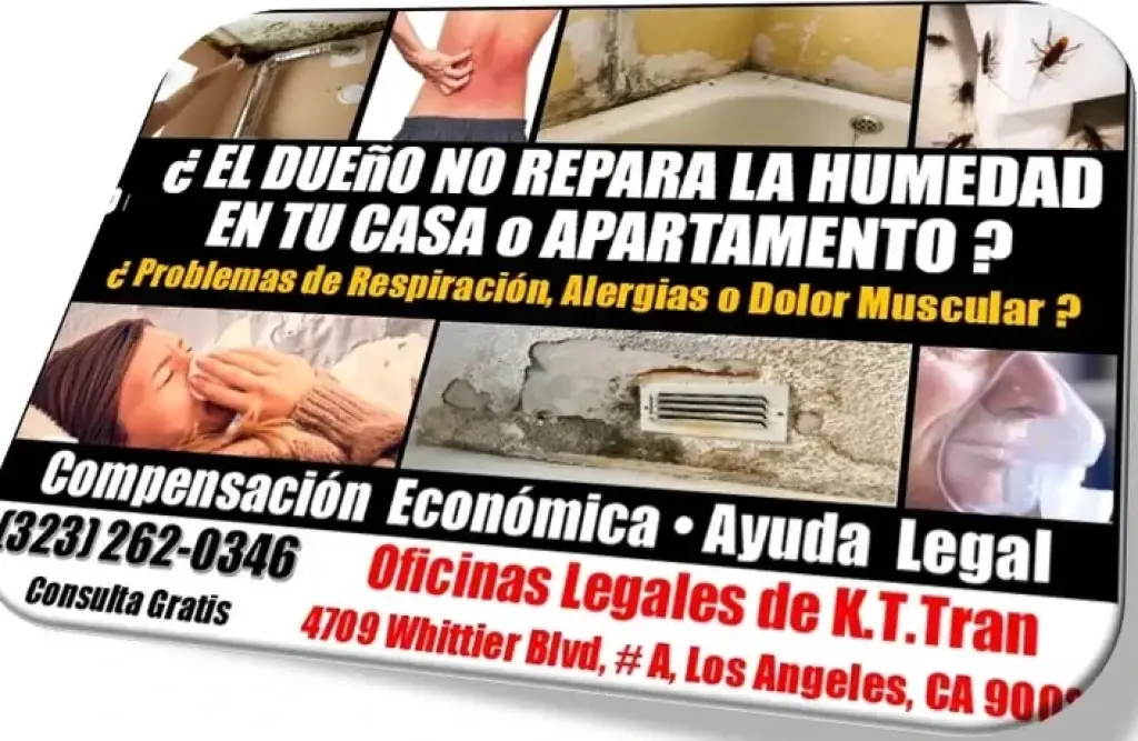 🔥SI NO GANAMOS! NO  COBRAMOS!