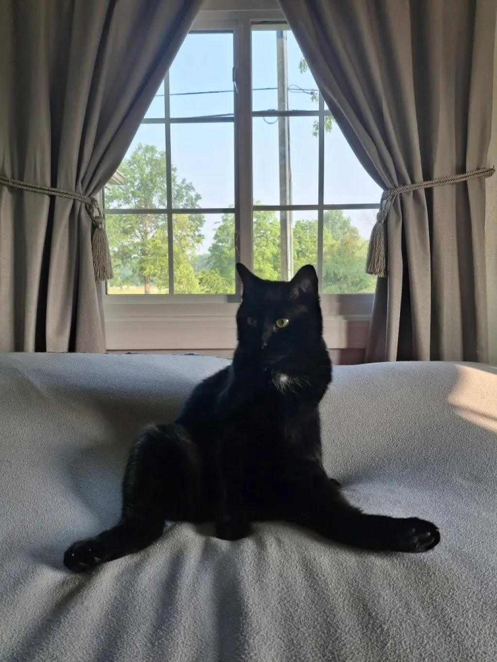 Ebony Blu