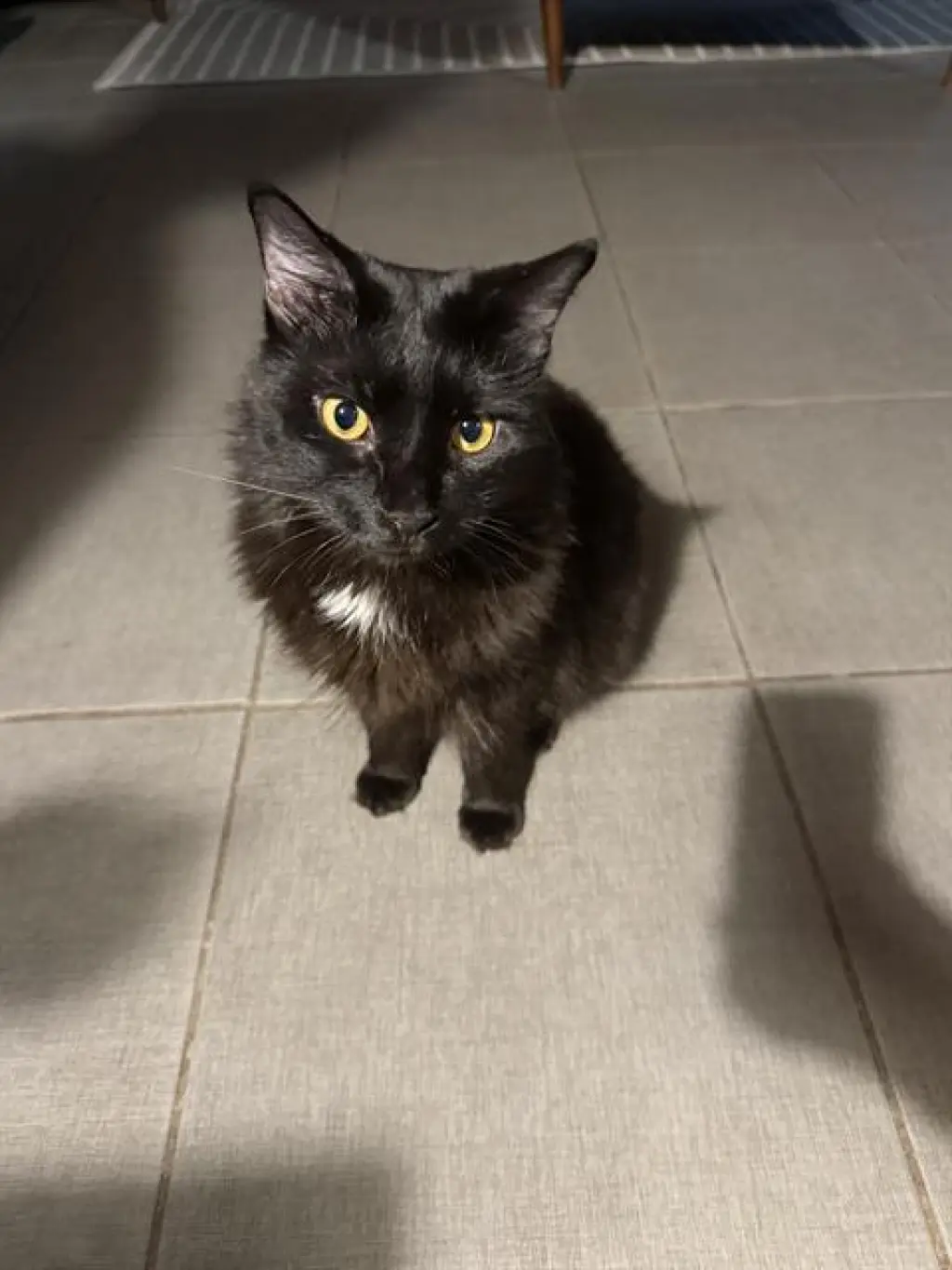 AXEL