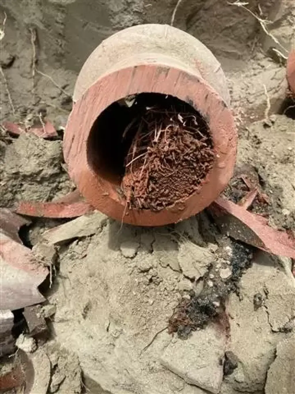 Plomero local👷🏼