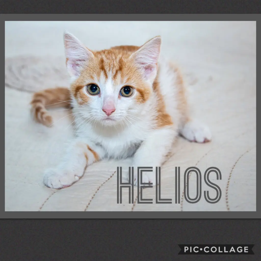 Helios