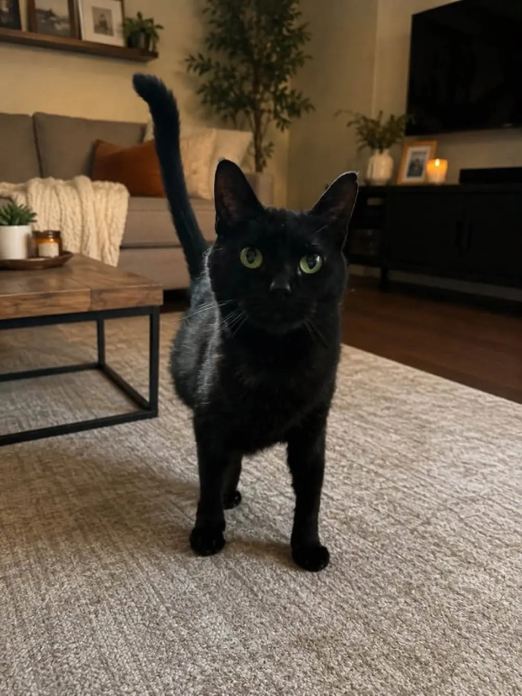Matilda