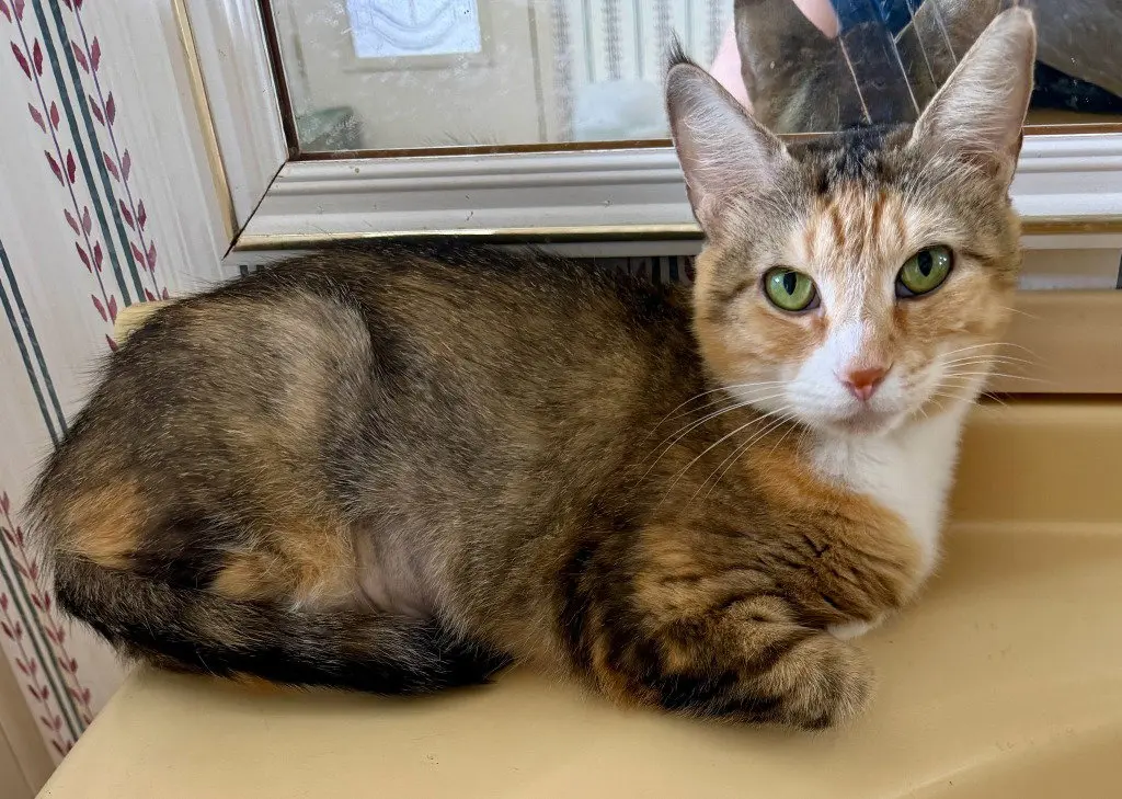 Juliette *IN FOSTER*