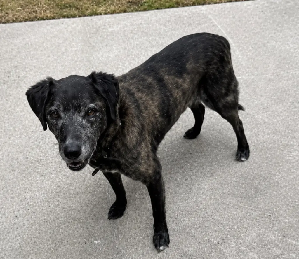 Sam