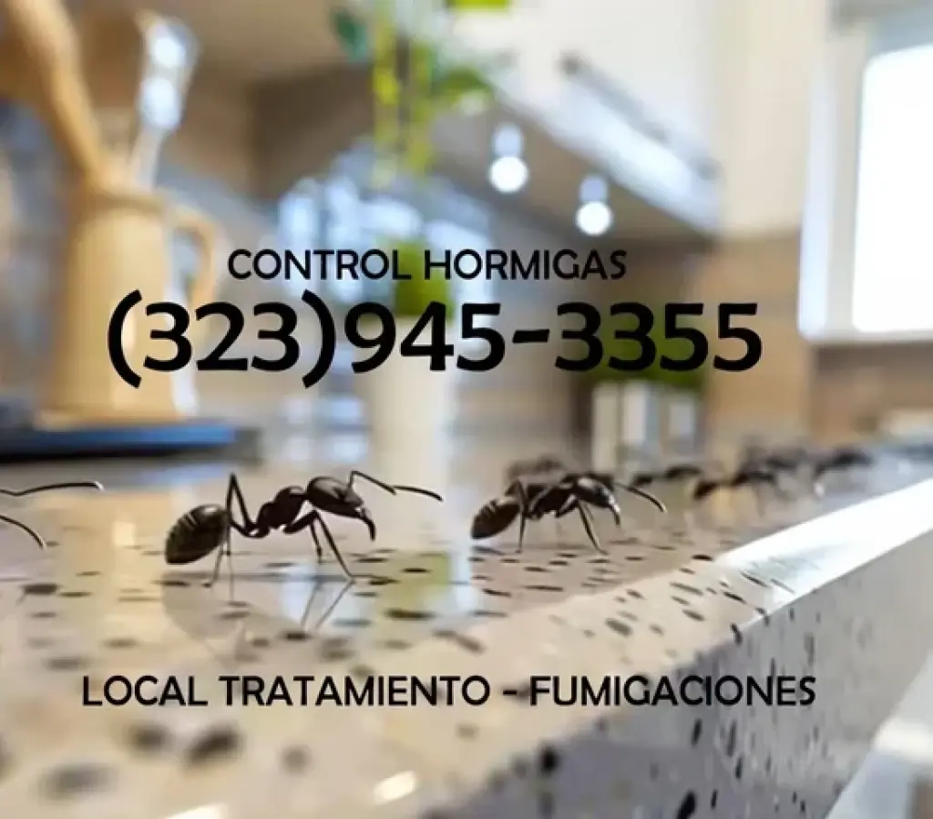 " TERMITE & PEST CONTROL.L.A."