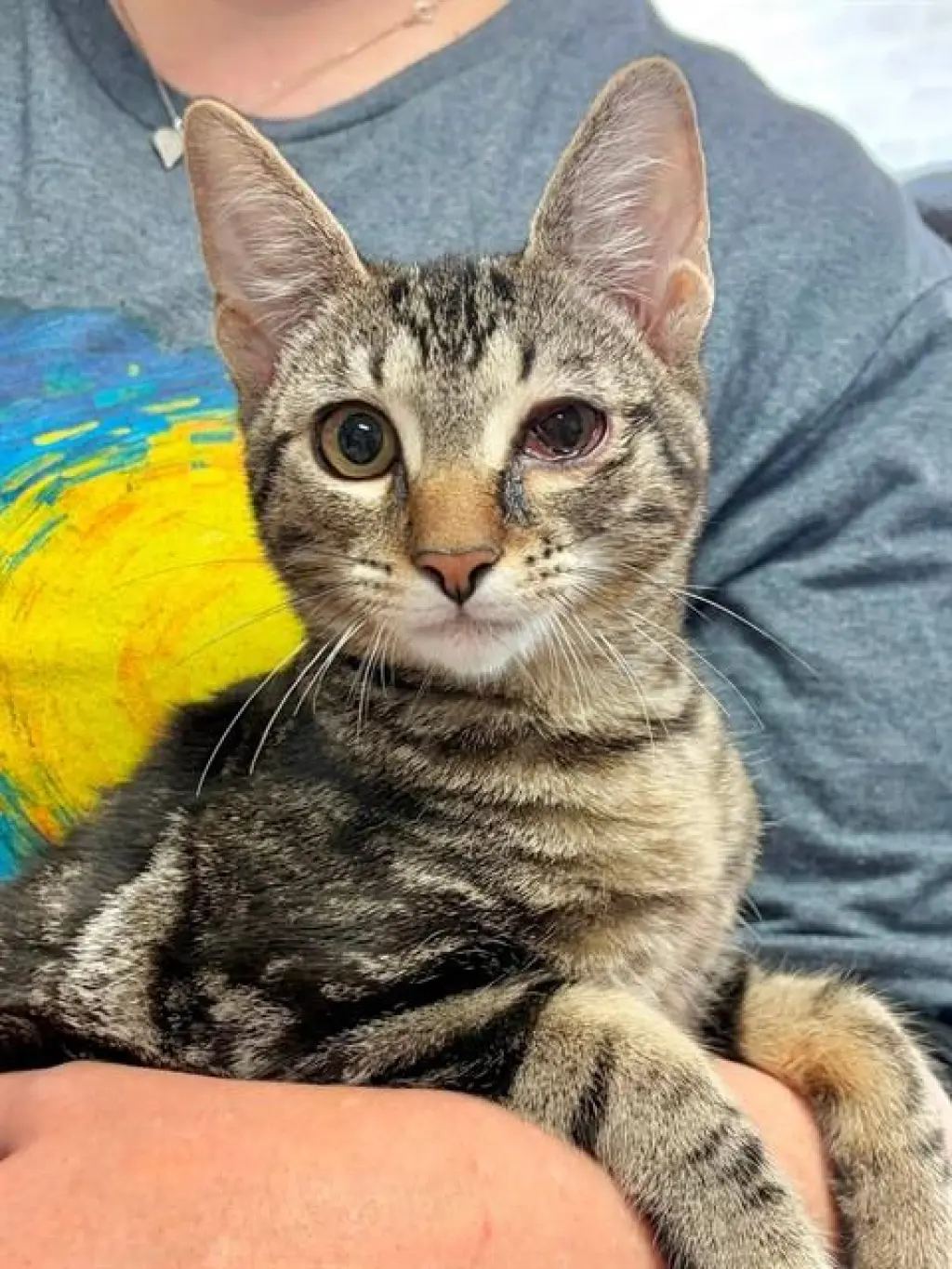 SIMON