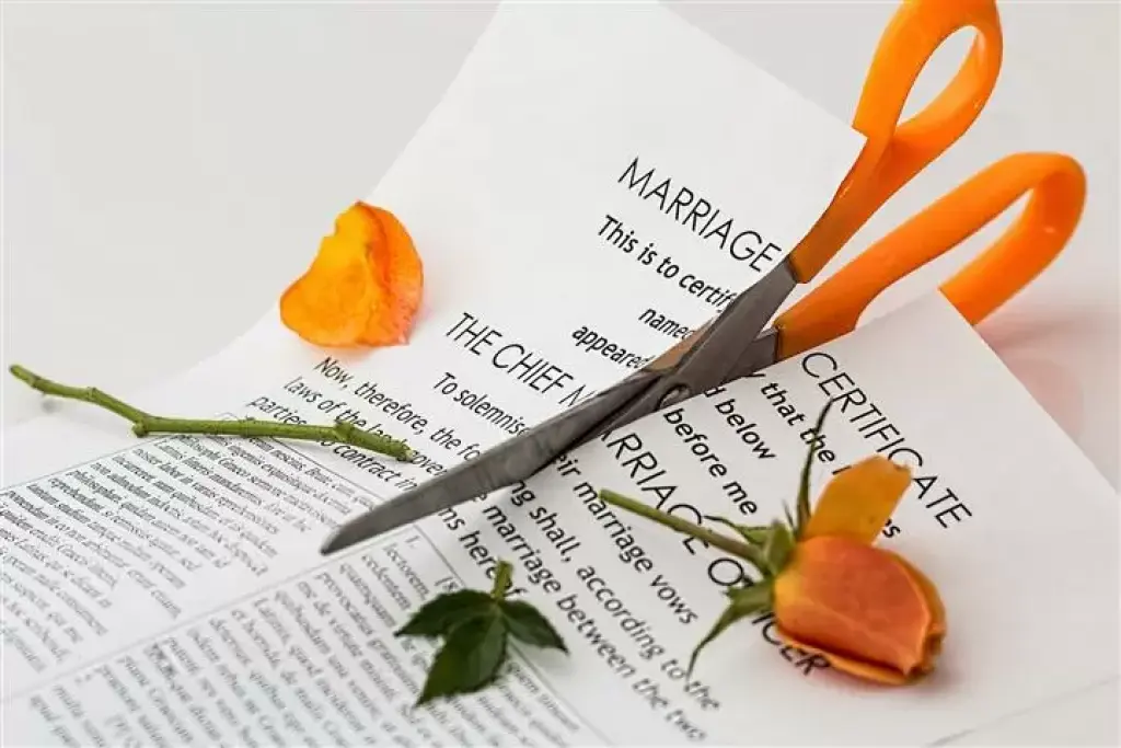 Peticion/Respuesta de Divorcio