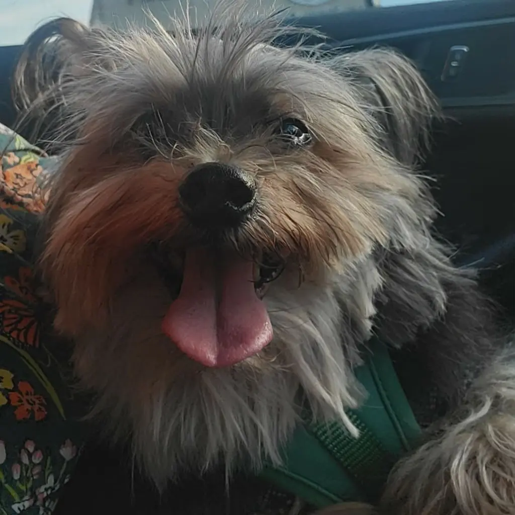 Walter