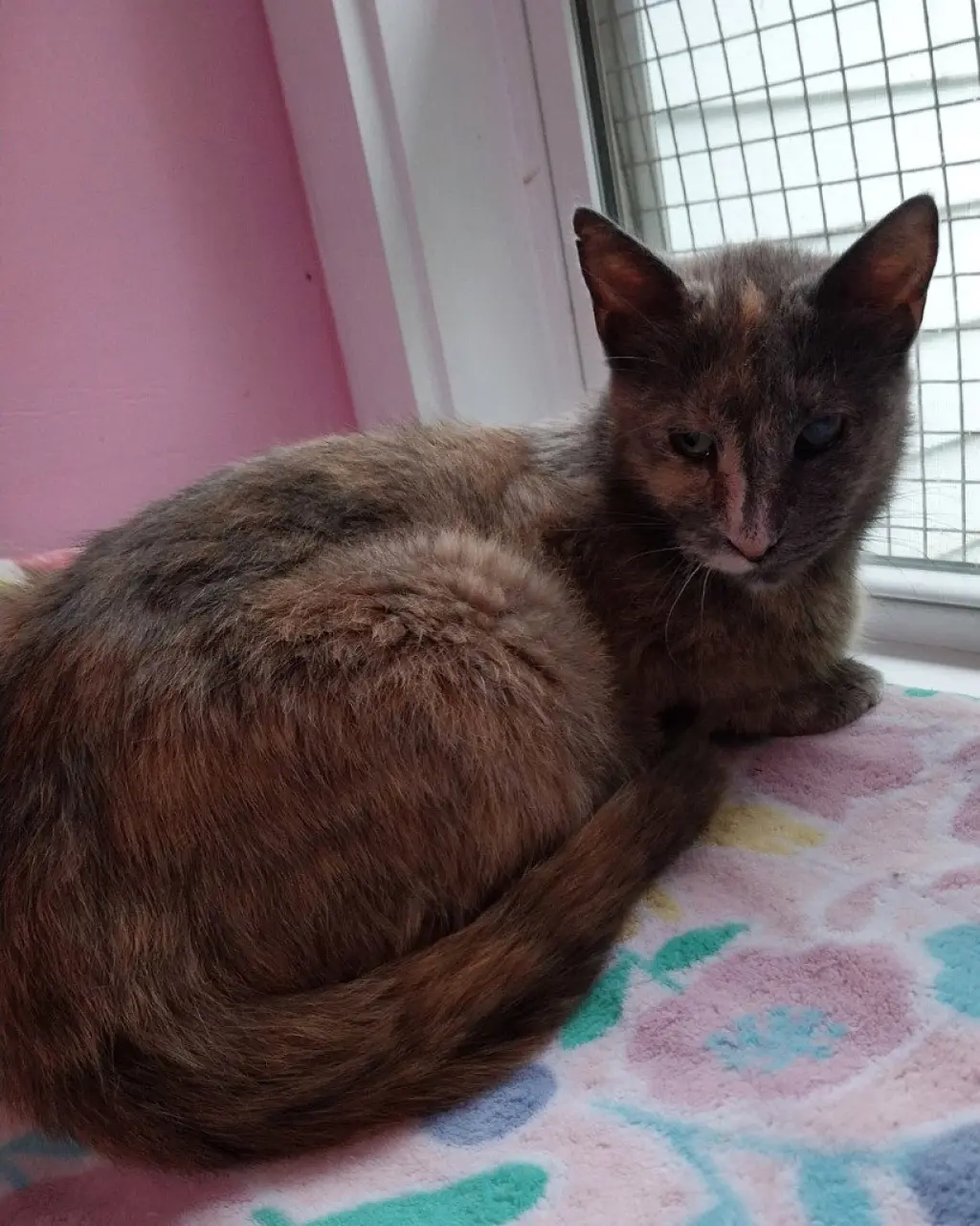 Neptune * IN FOSTER *