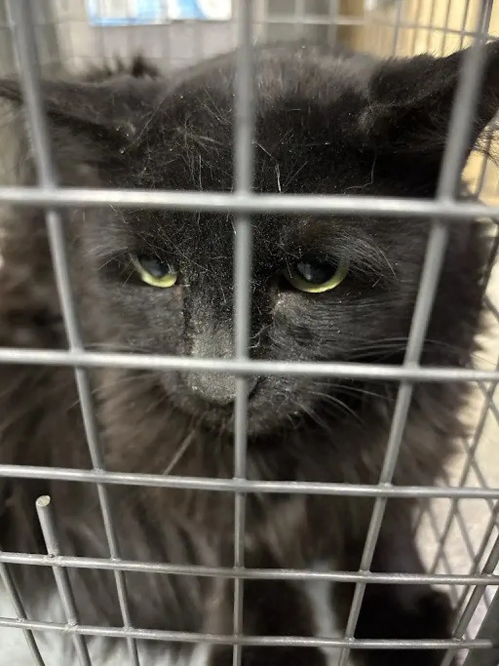 MILO