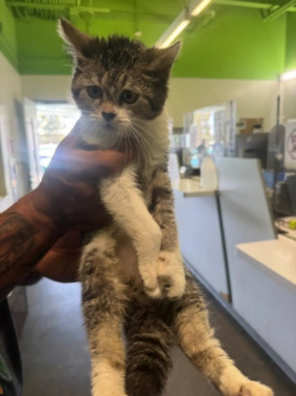 SNOW