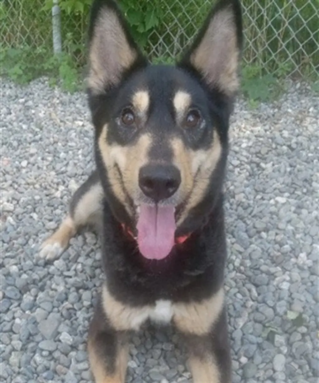 LEROY