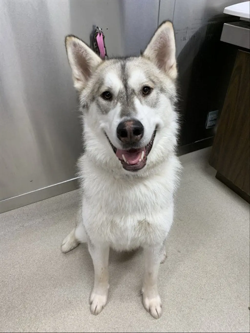 KOBUK
