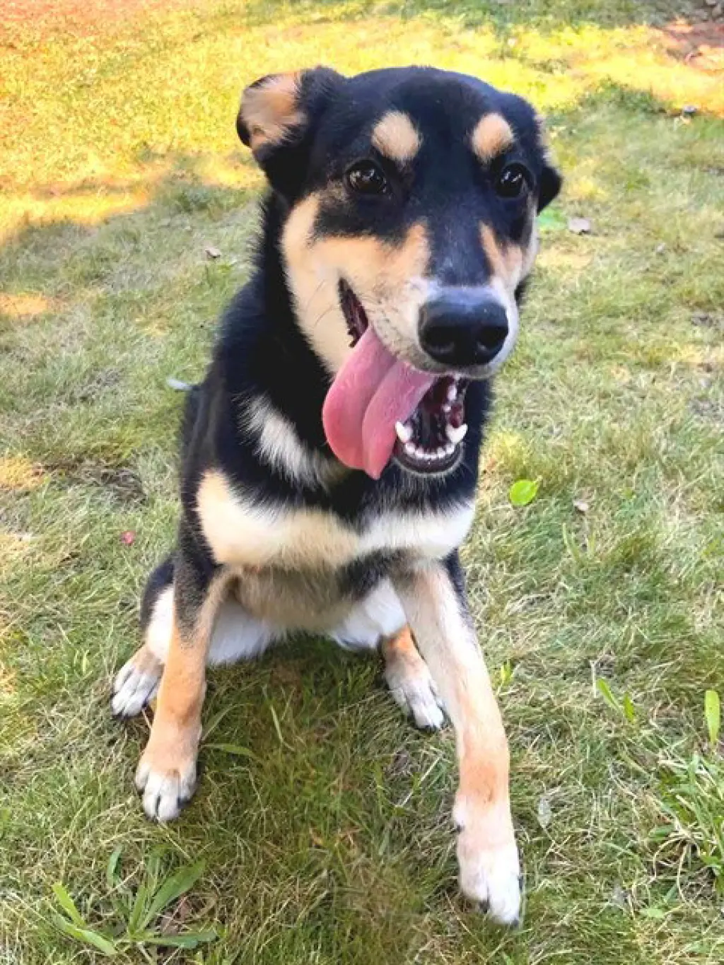BELLA