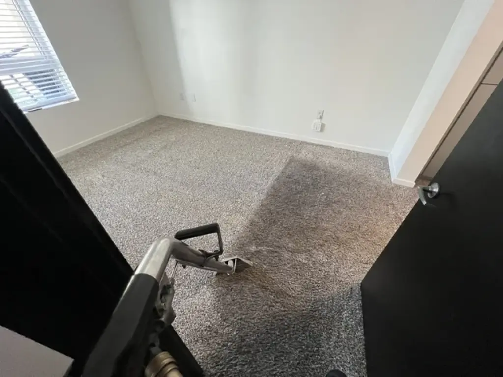 Carpet Cleaning