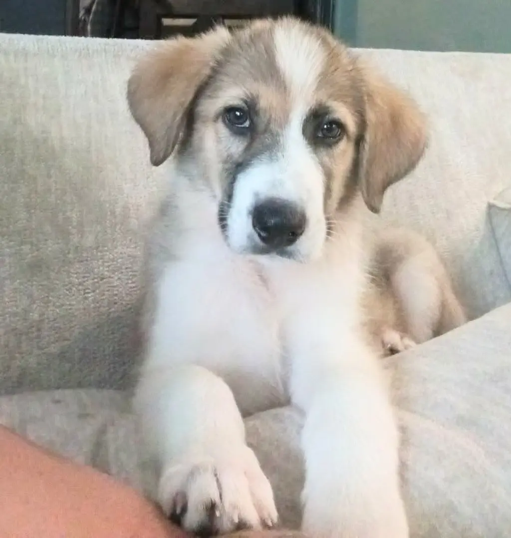 Charlie