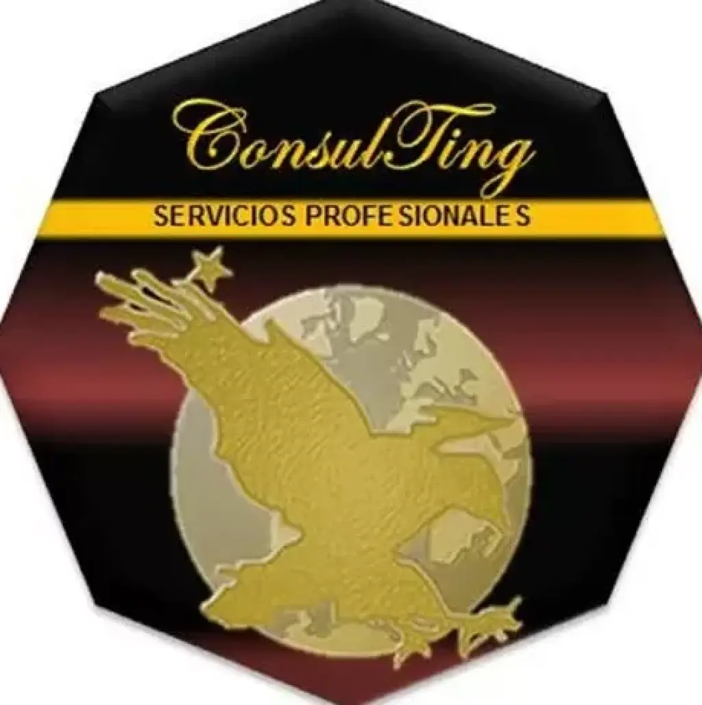 Consultoría S2