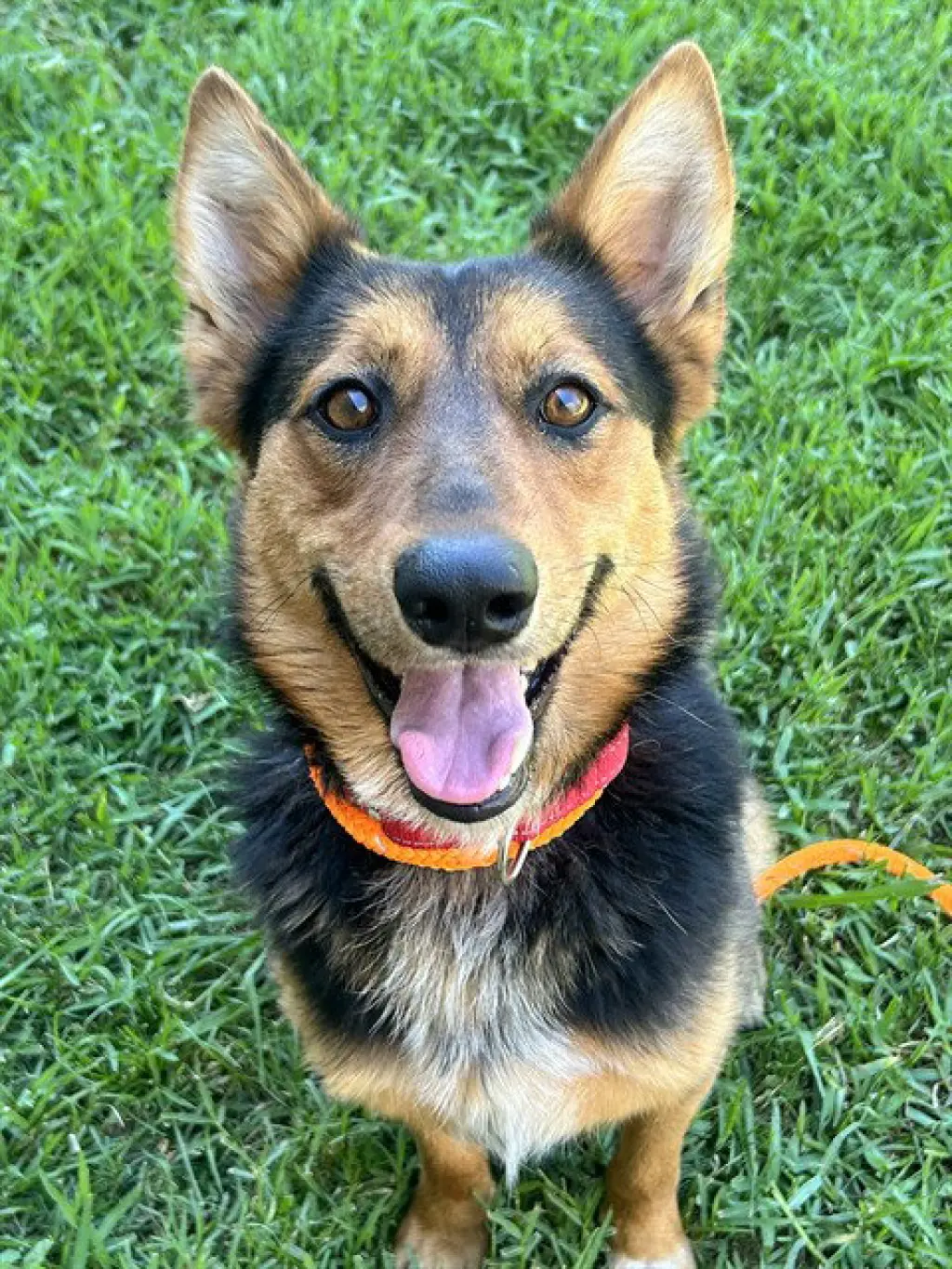 CHLOE