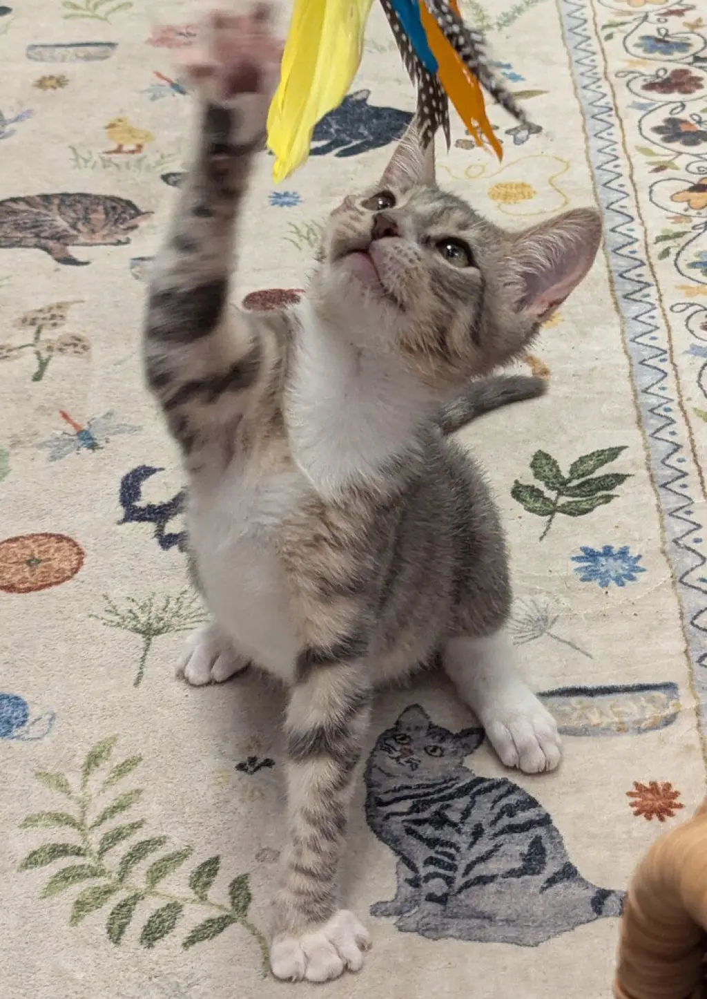 Oscar